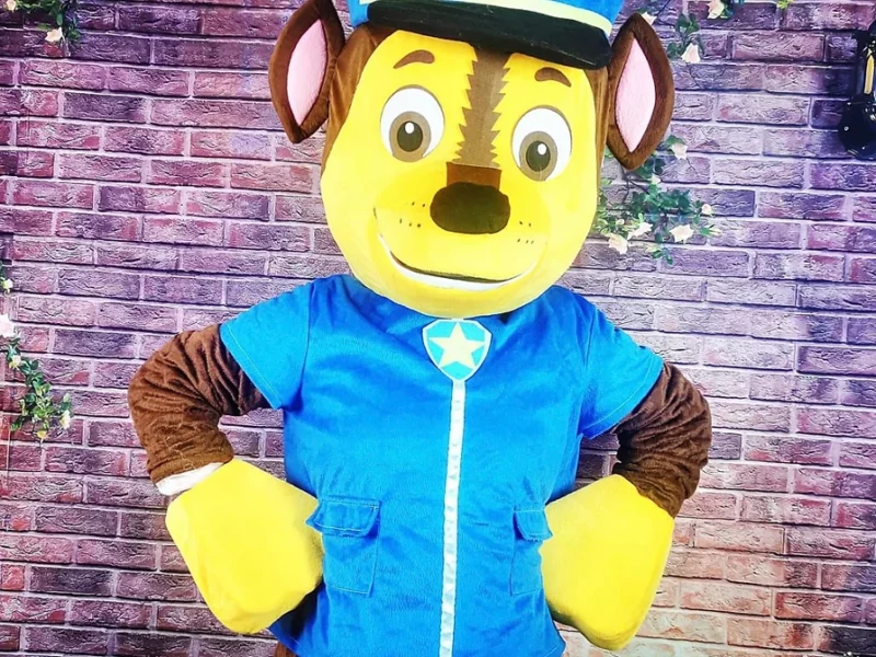 Paw Patrol Kindergeburtstag in Berlin